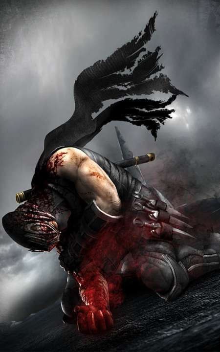 Ninja Gaiden 3 wallpapers or desktop backgrounds