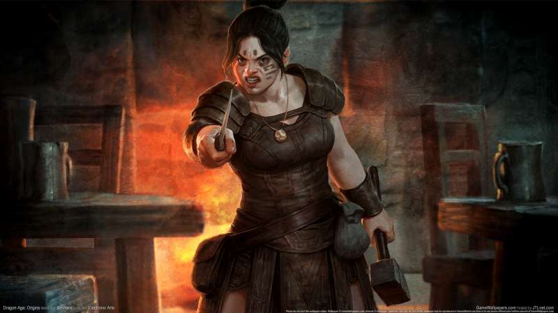 Dragon Age: Origins wallpapers or desktop backgrounds