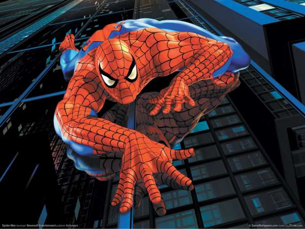 Spider-Man wallpaper or background
