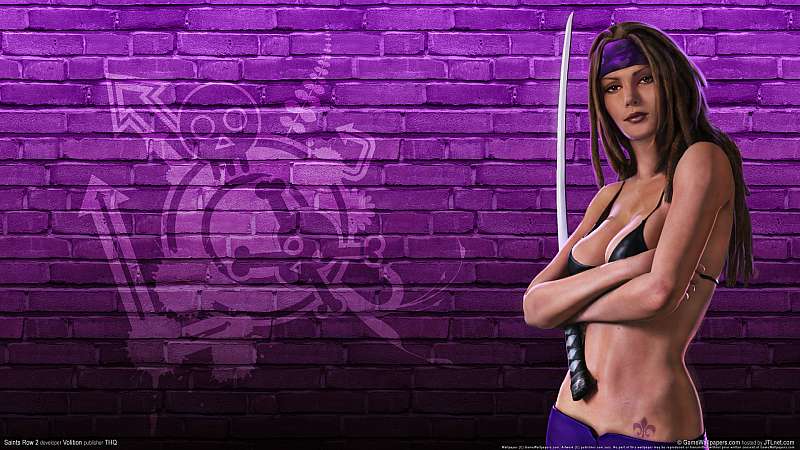 Saints Row 2 wallpaper or background
