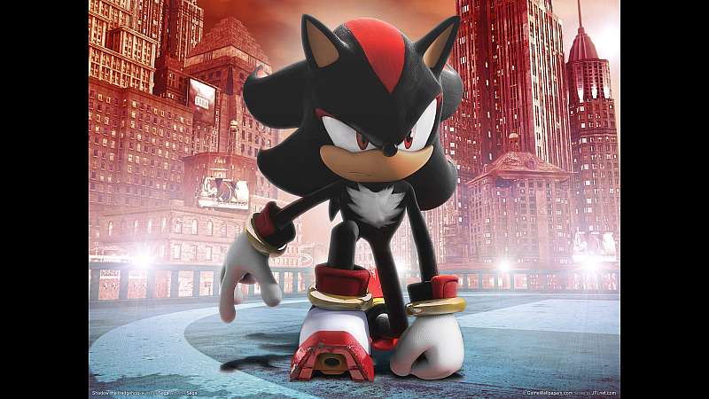 Shadow the Hedgehog wallpaper or background