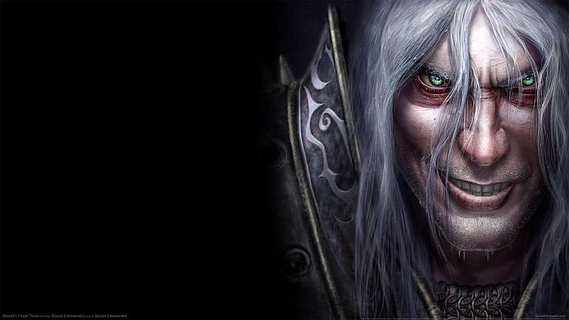 Warcraft 3: Frozen Throne wallpaper or background