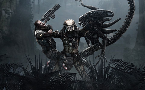 aliens wallpaper. Aliens vs. Predator wallpapers