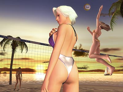 volleyball wallpapers. GameWallpapers.com