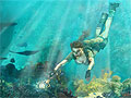 Lara Croft Tomb Raider: Anniversary