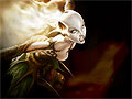The Chronicles of Spellborn