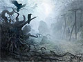 The Witcher