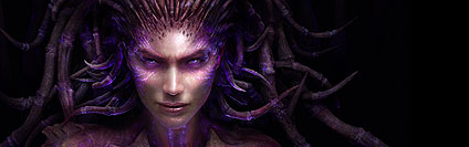 StarCraft 2: Heart of the Swarm