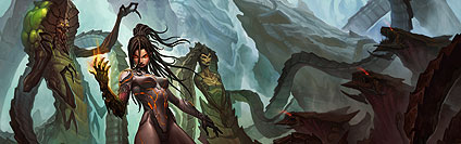StarCraft 2: Heart of the Swarm