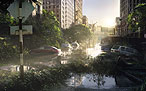 The Last of Us