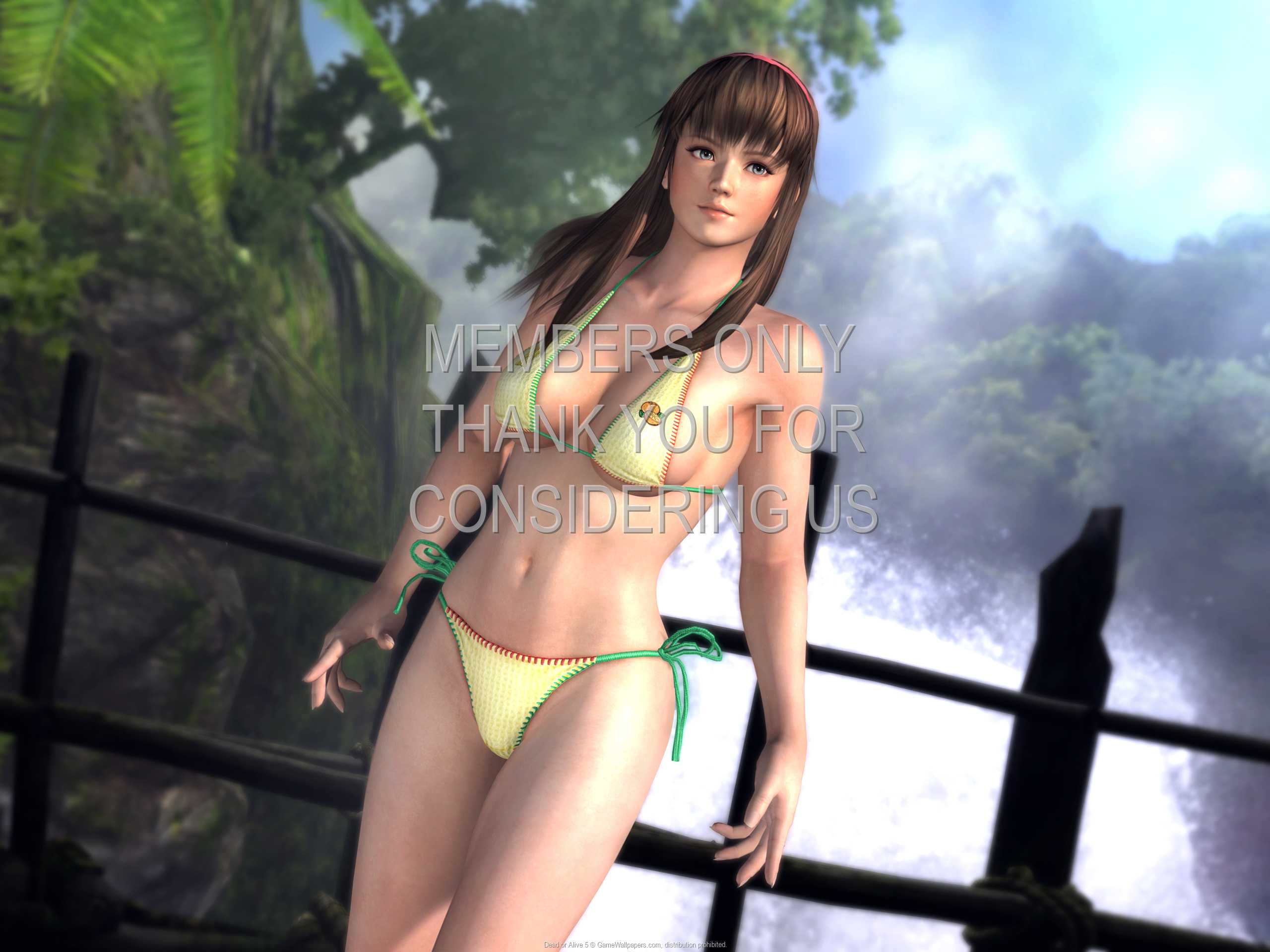 Dead or Alive 5 1080p Horizontal Mobile wallpaper or background 01