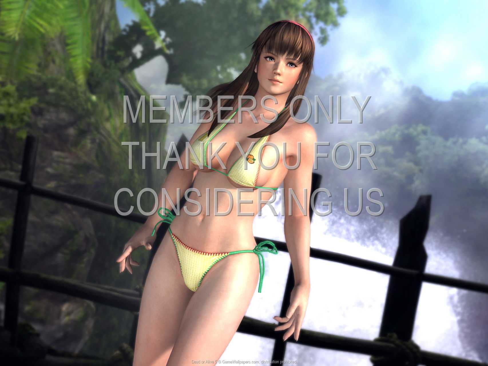 Dead or Alive 5 720p Horizontal Mobile wallpaper or background 01