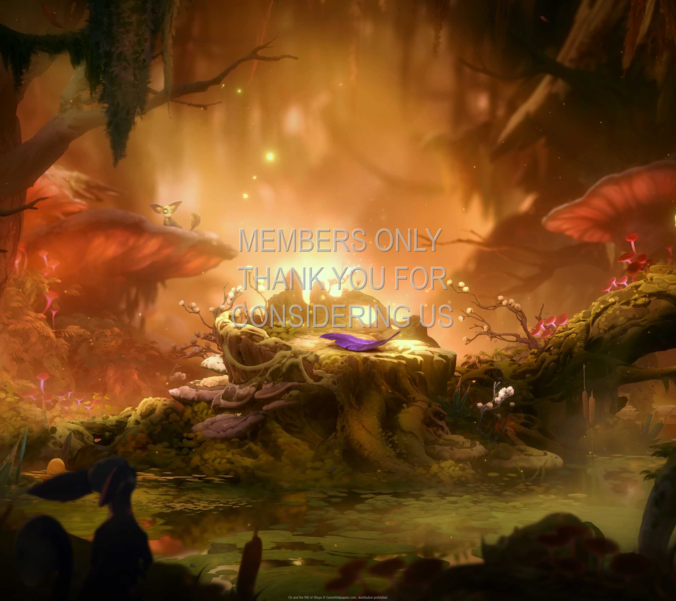 Ori and the Will of Wisps 1440p Horizontal Mobiele achtergrond 01