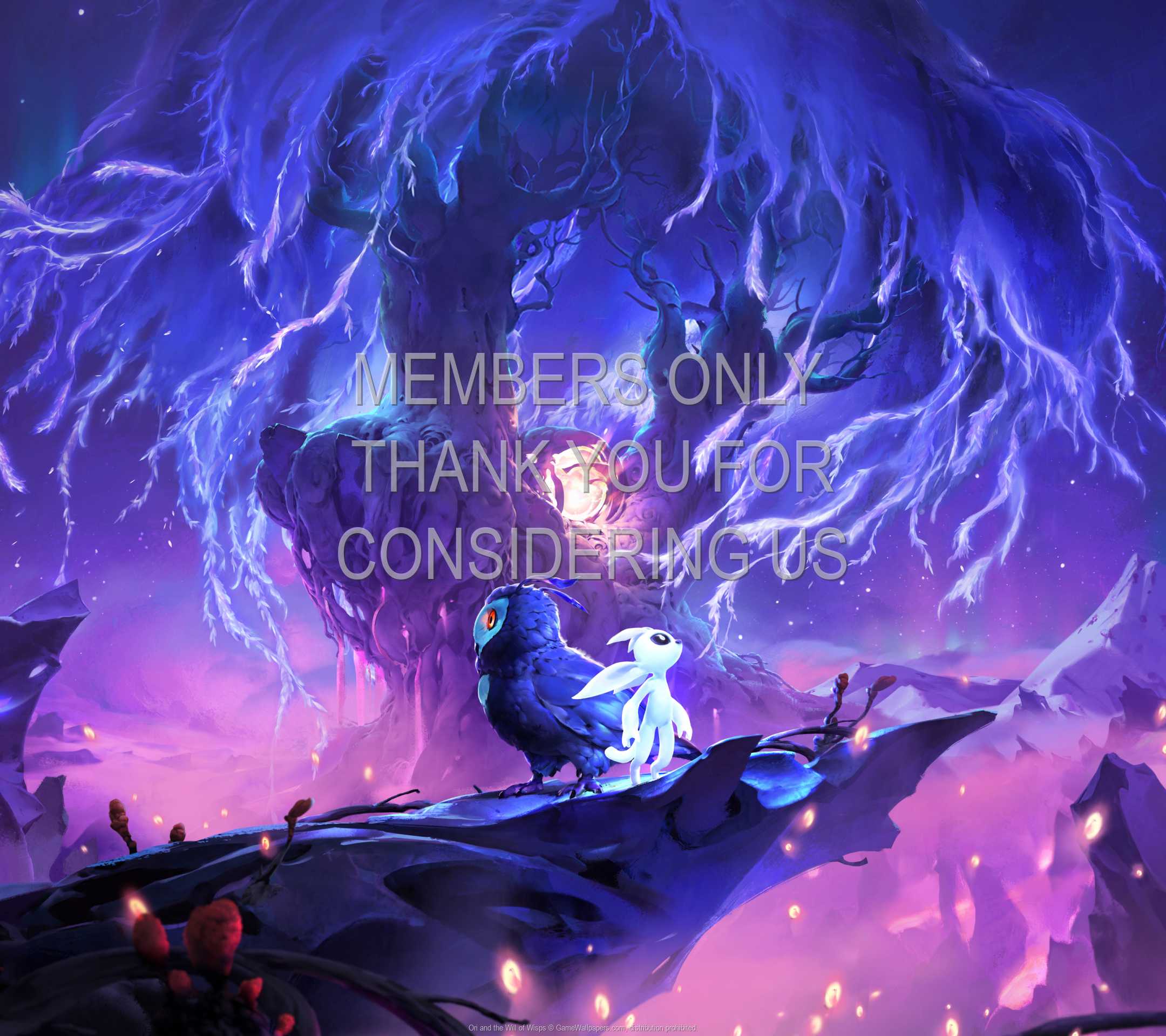 Ori and the Will of Wisps 1080p Horizontal Mobiele achtergrond 02