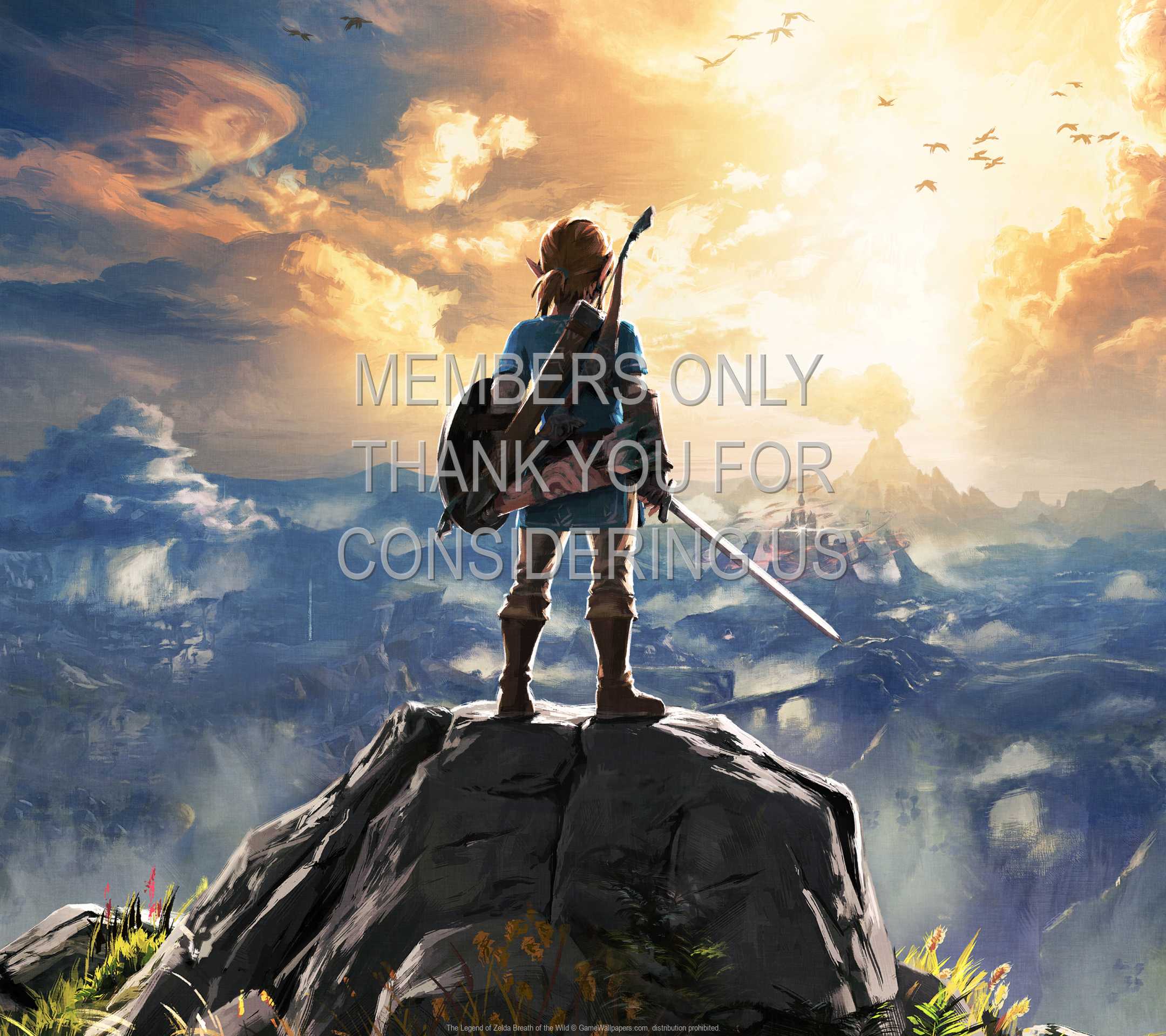The Legend of Zelda: Breath of the Wild 1080p Horizontal Mobile fond d'cran 02
