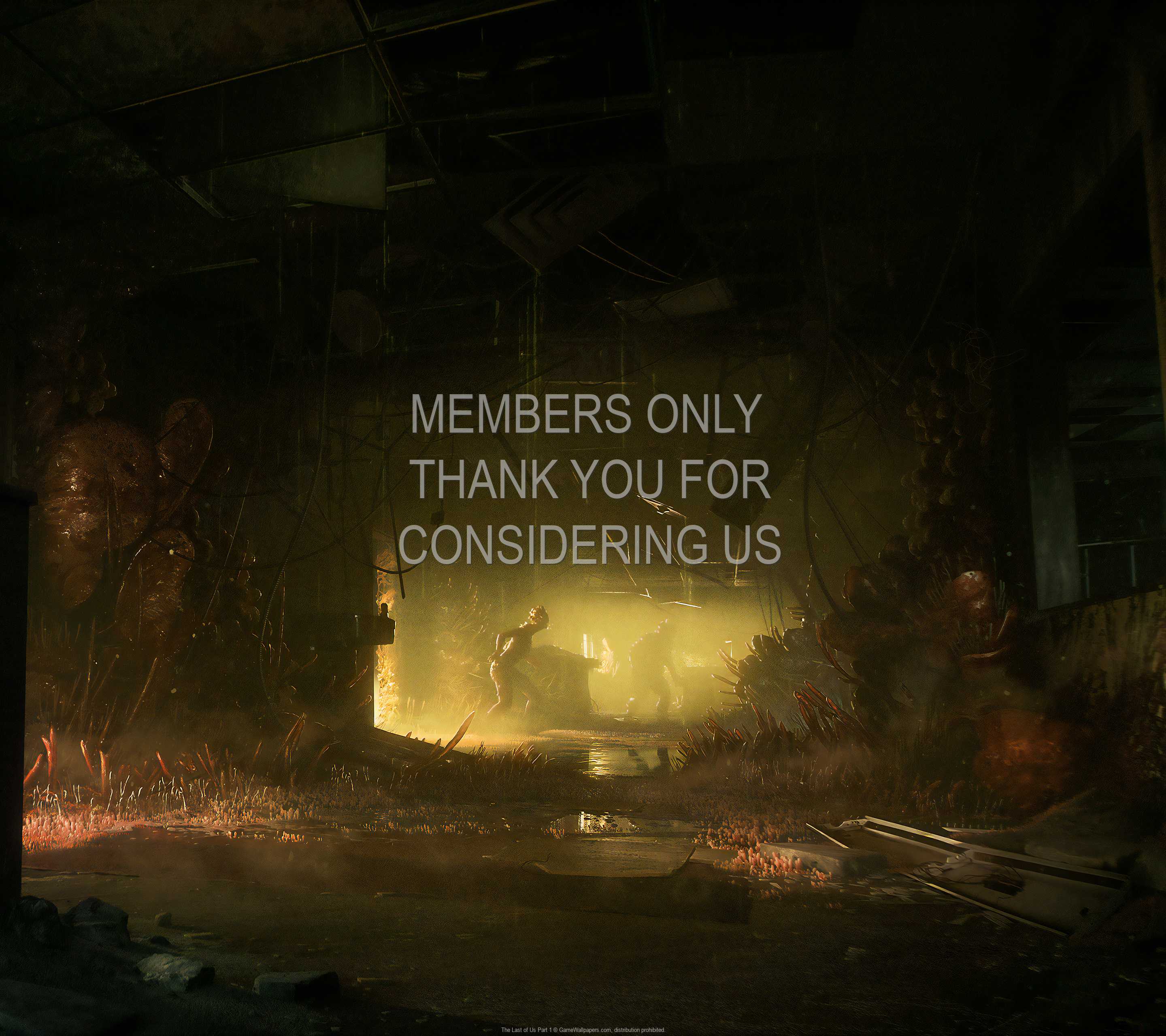The Last of Us: Part 1 1440p Horizontal Handy Hintergrundbild 04