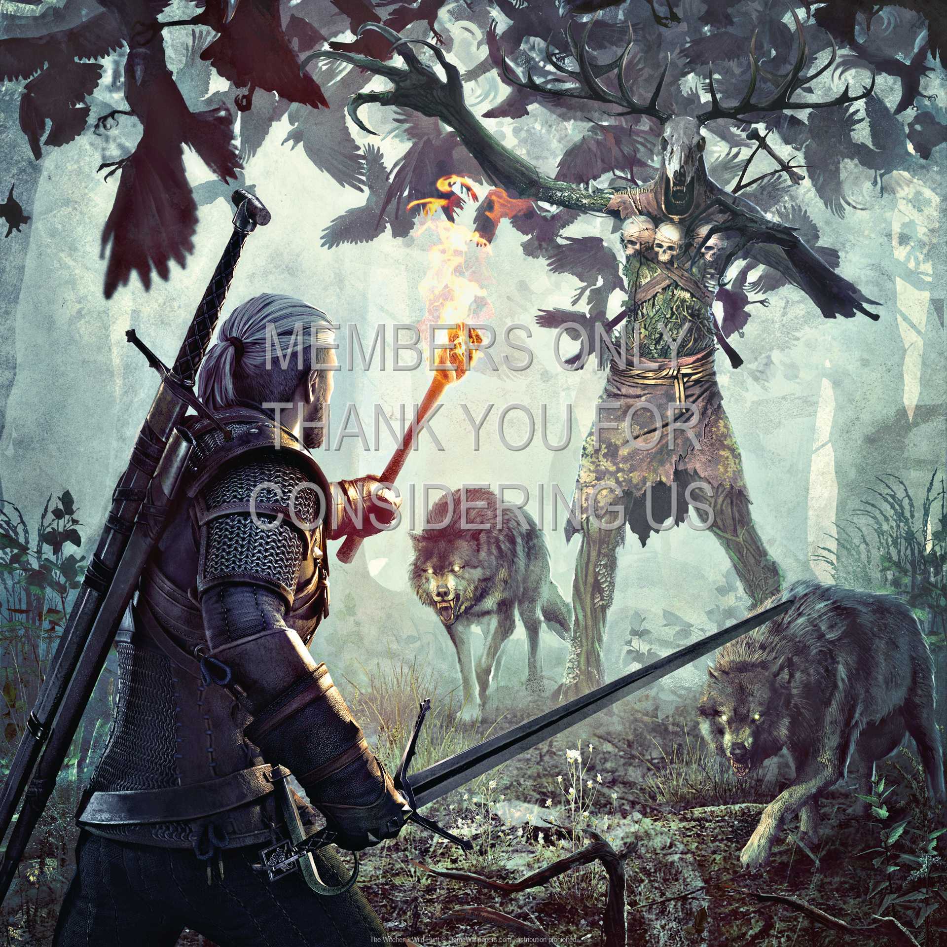 The Witcher 3: Wild Hunt 1080p Horizontal Handy Hintergrundbild 07