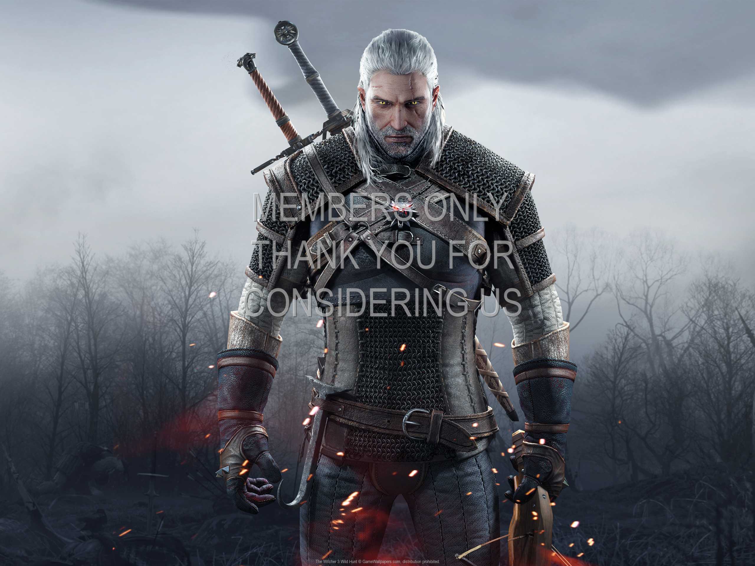 The Witcher 3: Wild Hunt 1080p Horizontal Mobiele achtergrond 08