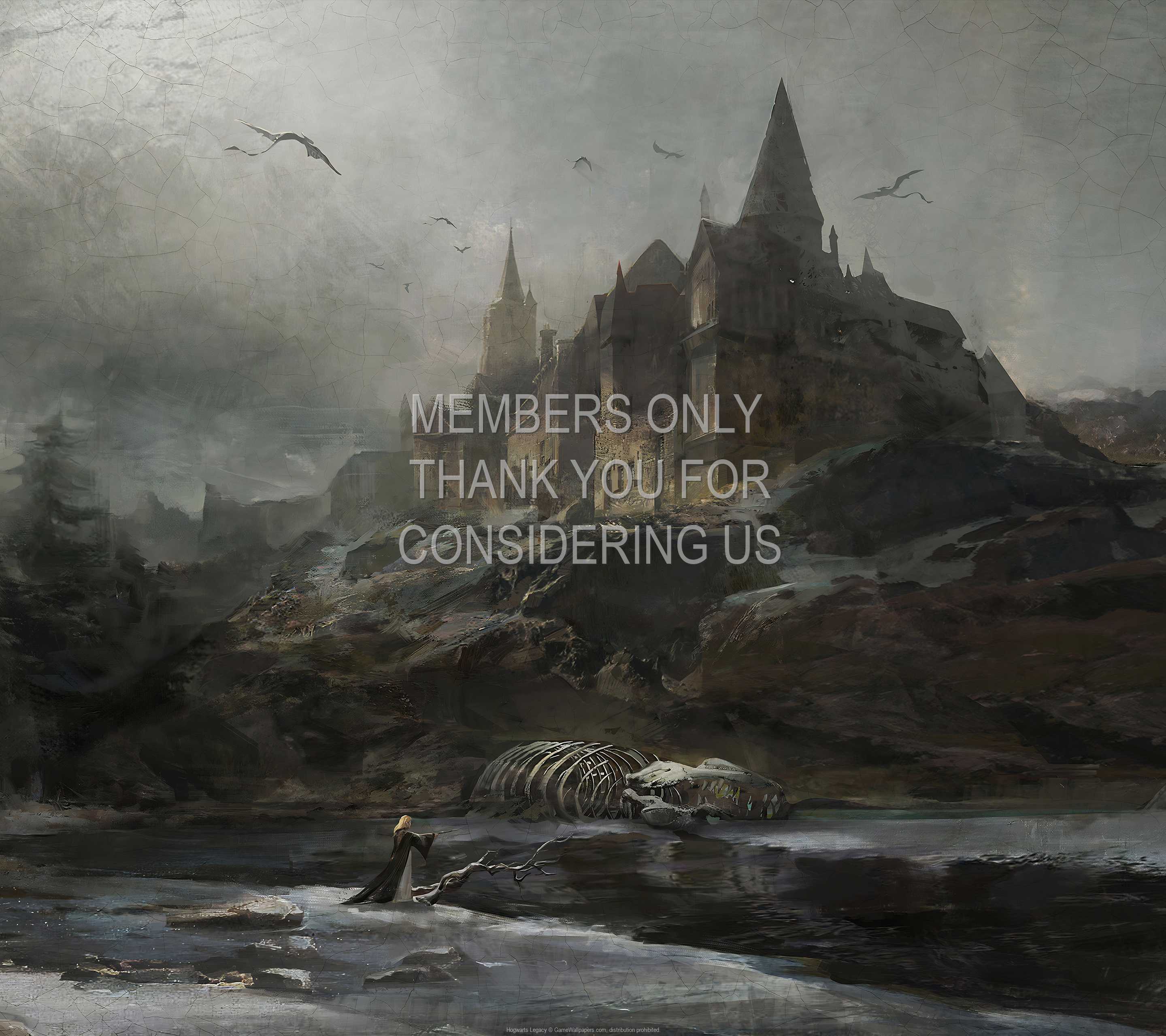 Hogwarts Legacy 1440p Horizontal Handy Hintergrundbild 08