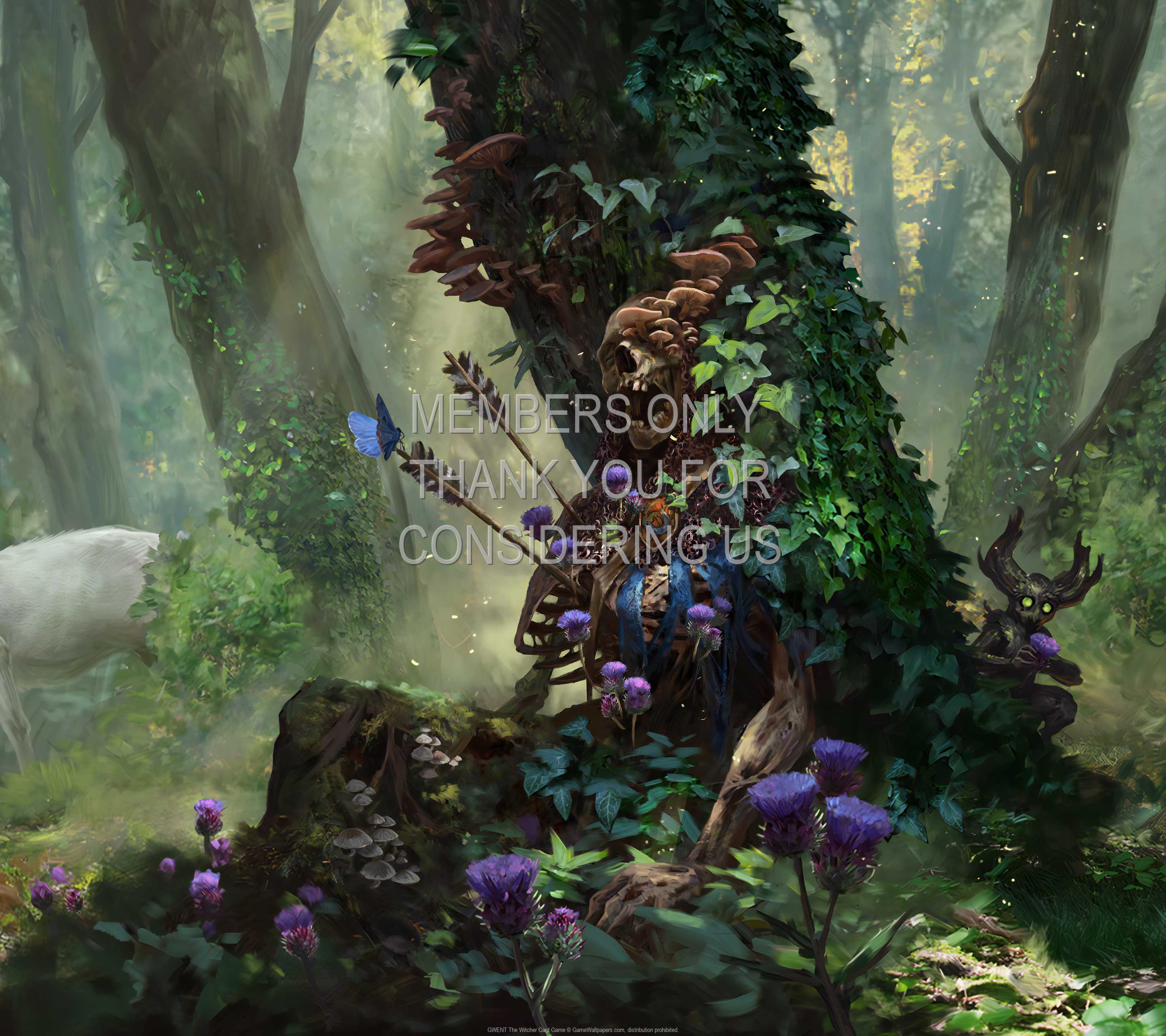 GWENT: The Witcher Card Game 1440p Horizontal Handy Hintergrundbild 10