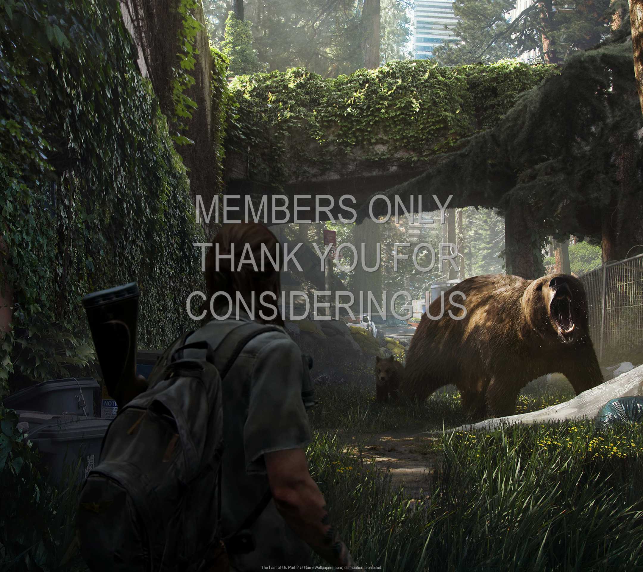 The Last of Us: Part 2 1080p Horizontal Handy Hintergrundbild 11