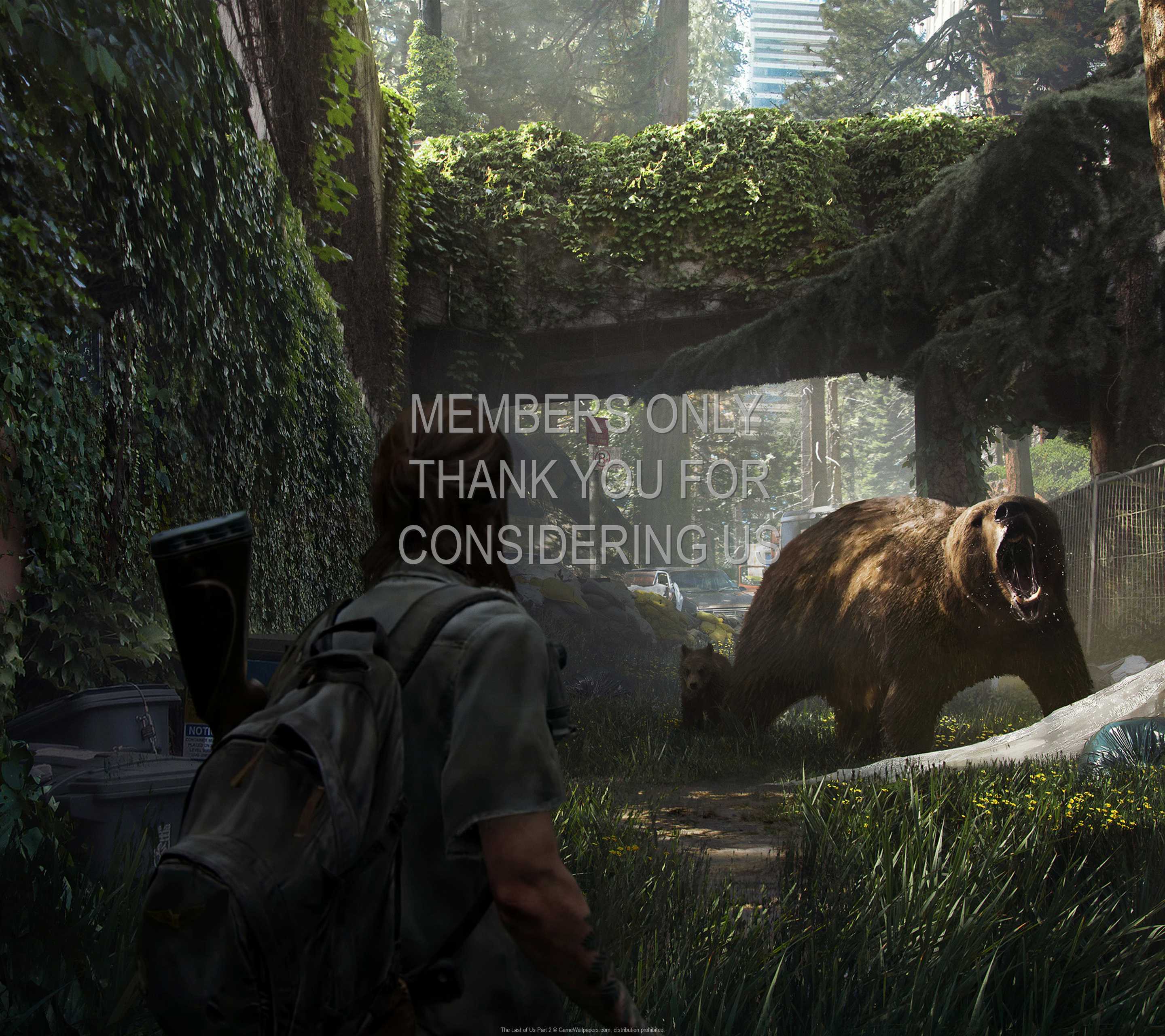 The Last of Us: Part 2 1440p Horizontal Mobiele achtergrond 11