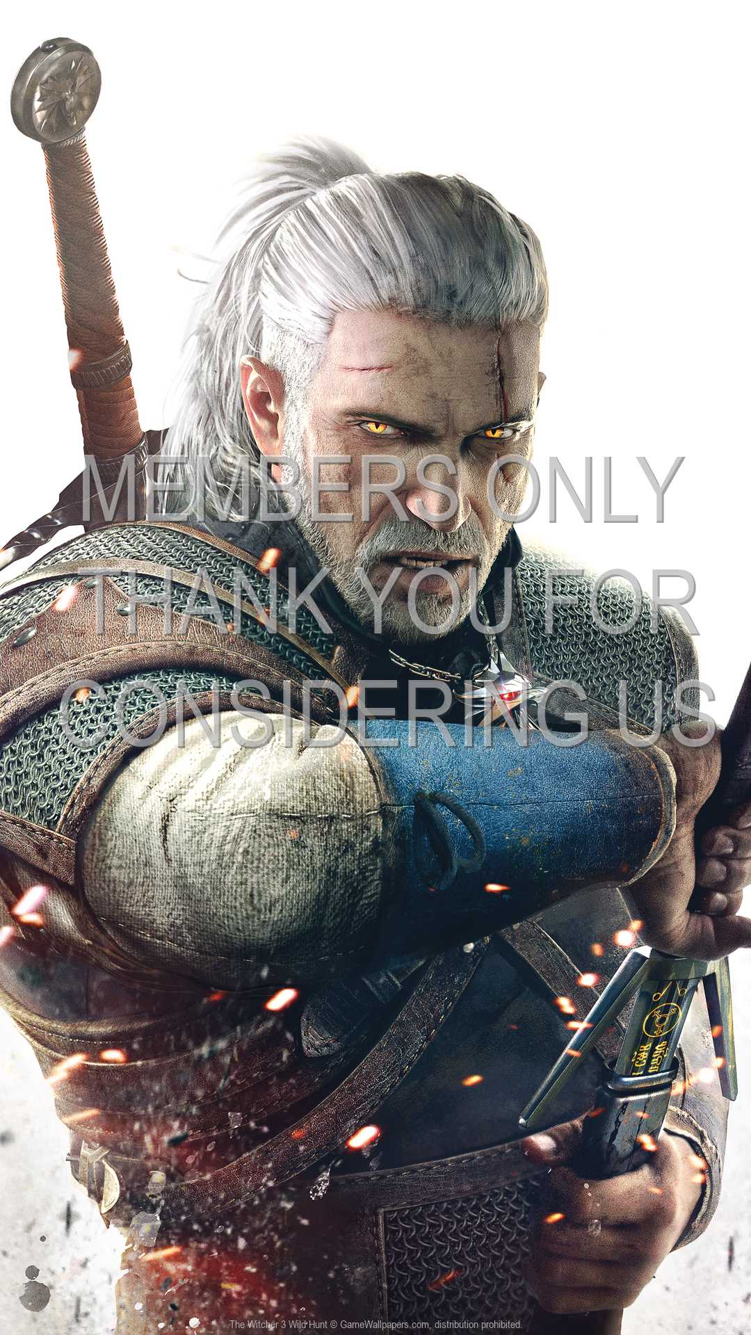 The Witcher 3: Wild Hunt 1080p Vertical Mobile wallpaper or background 16