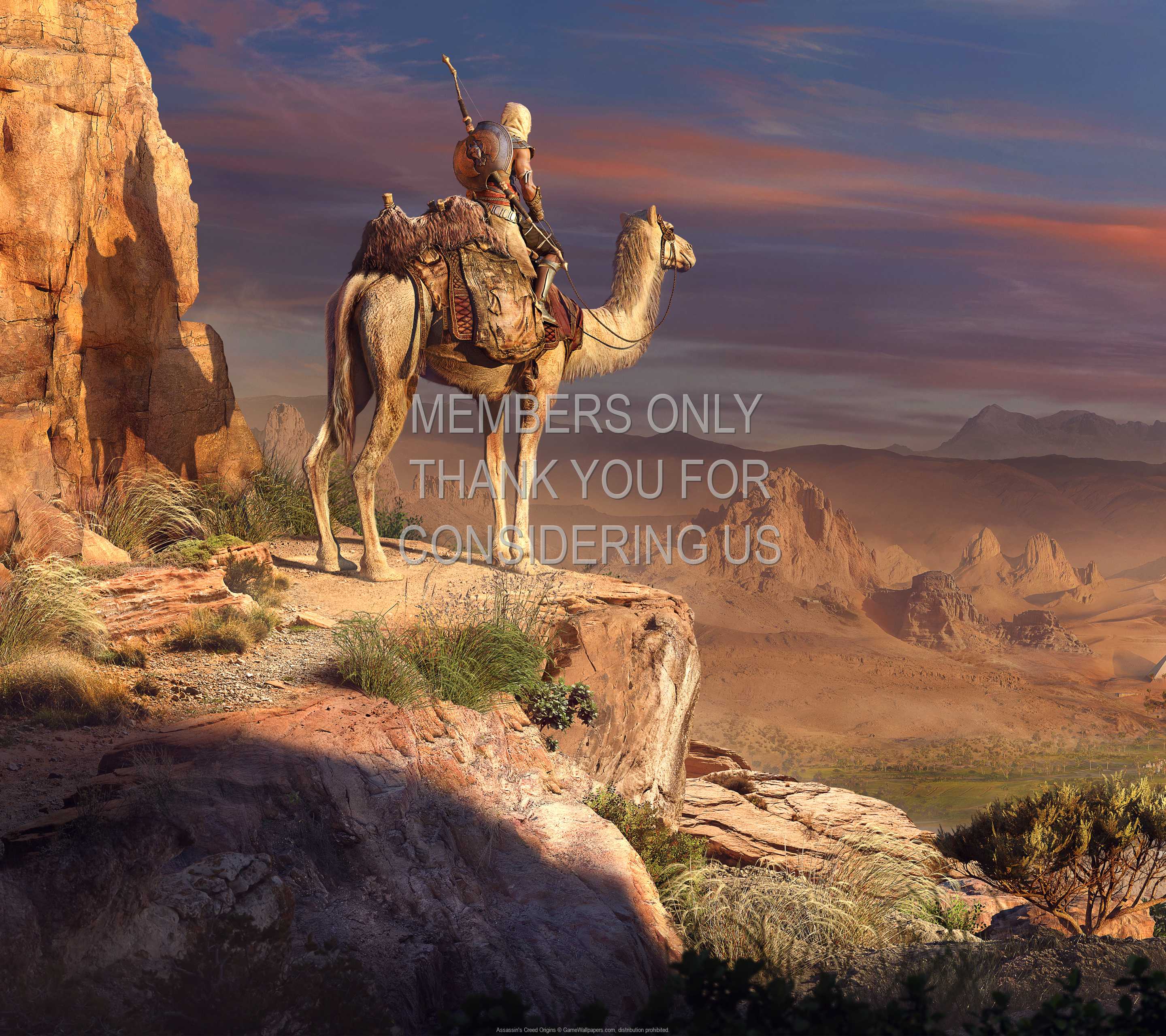 Assassin's Creed: Origins 1440p Horizontal Handy Hintergrundbild 03