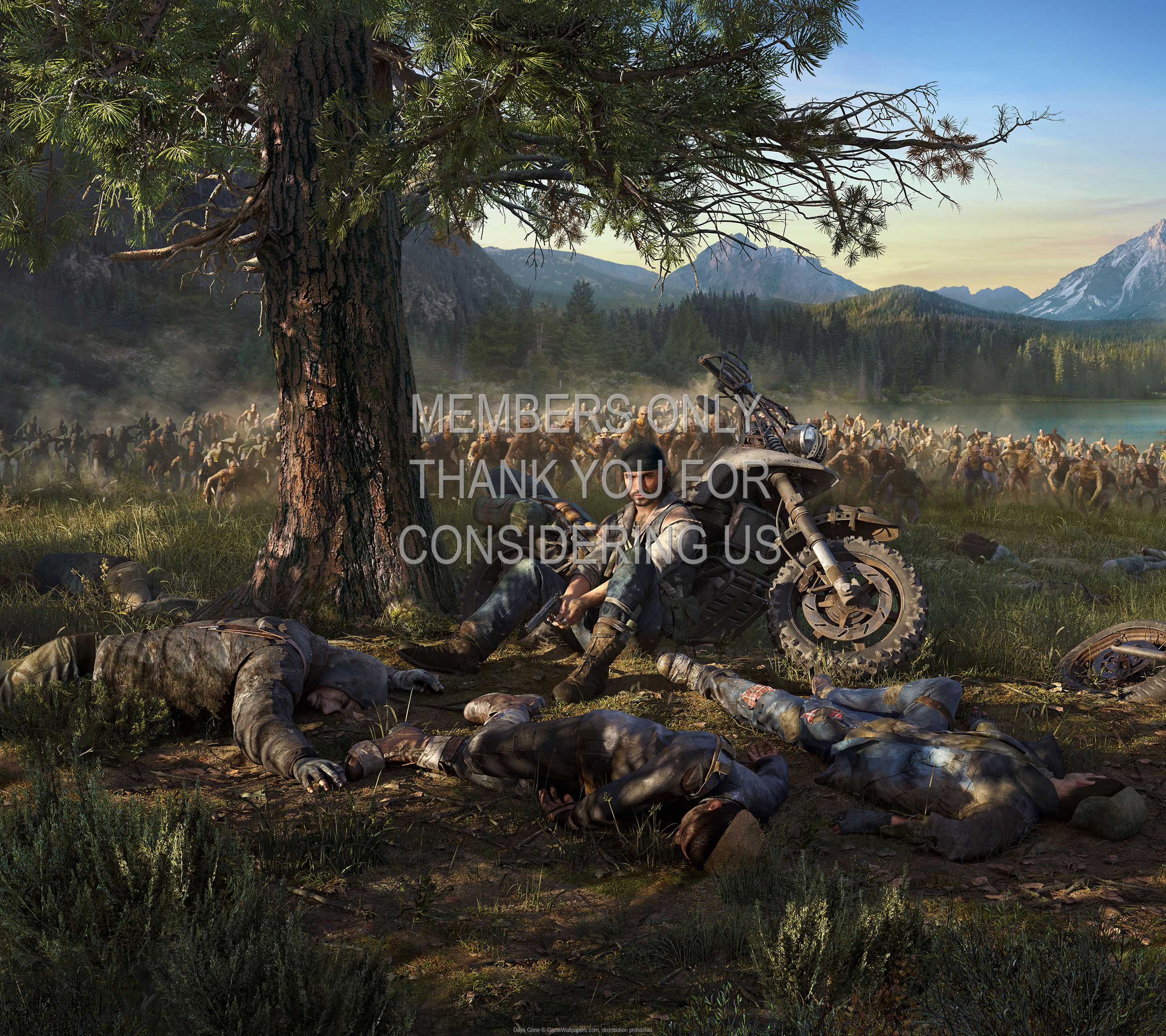 Days Gone 1440p Horizontal Mobile wallpaper or background 01