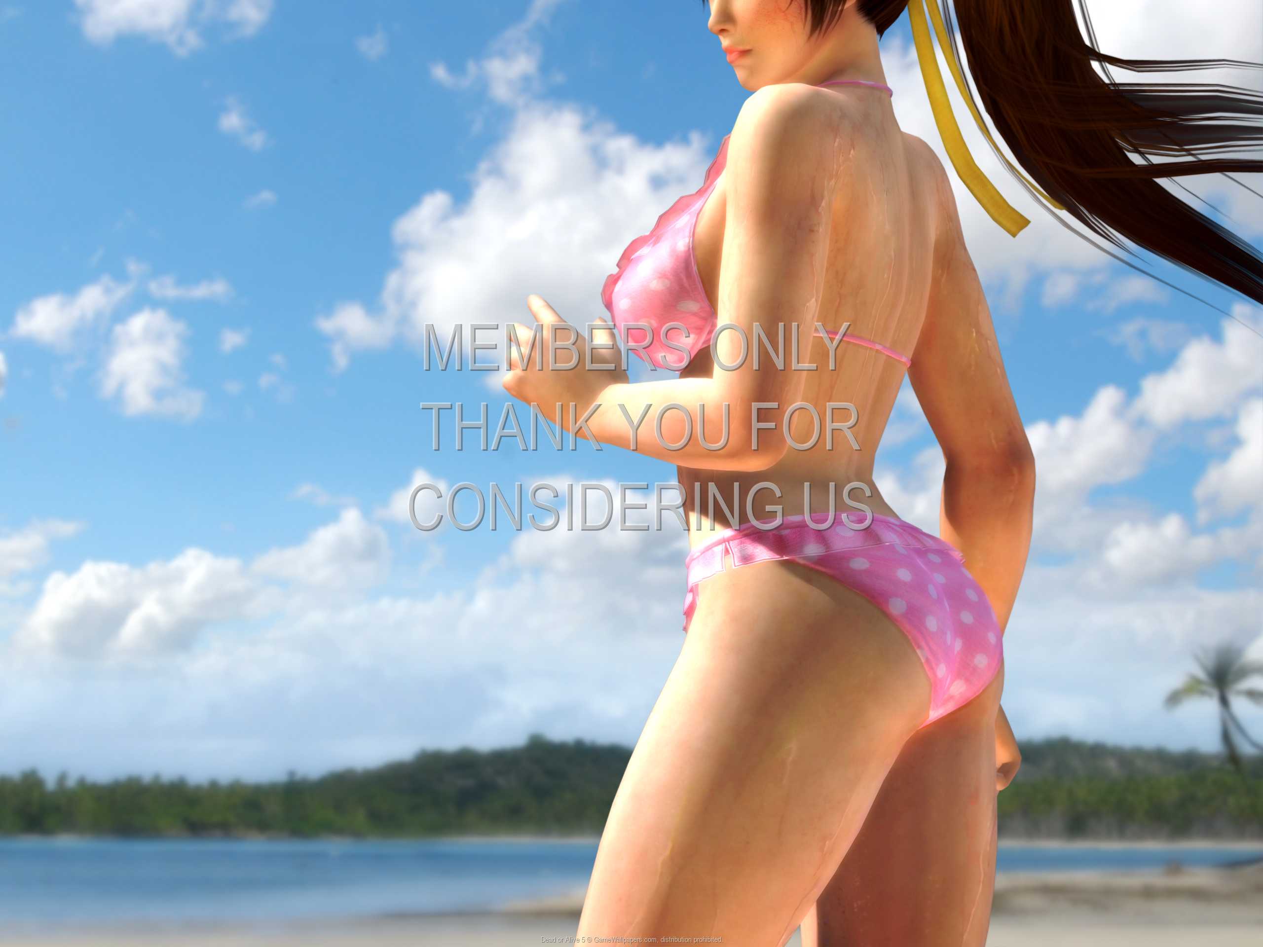 Dead or Alive 5 1080p Horizontal Mobile wallpaper or background 06