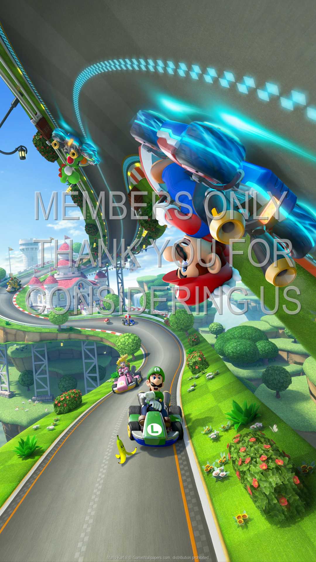Mario Kart 8 1080p Vertical Handy Hintergrundbild 01