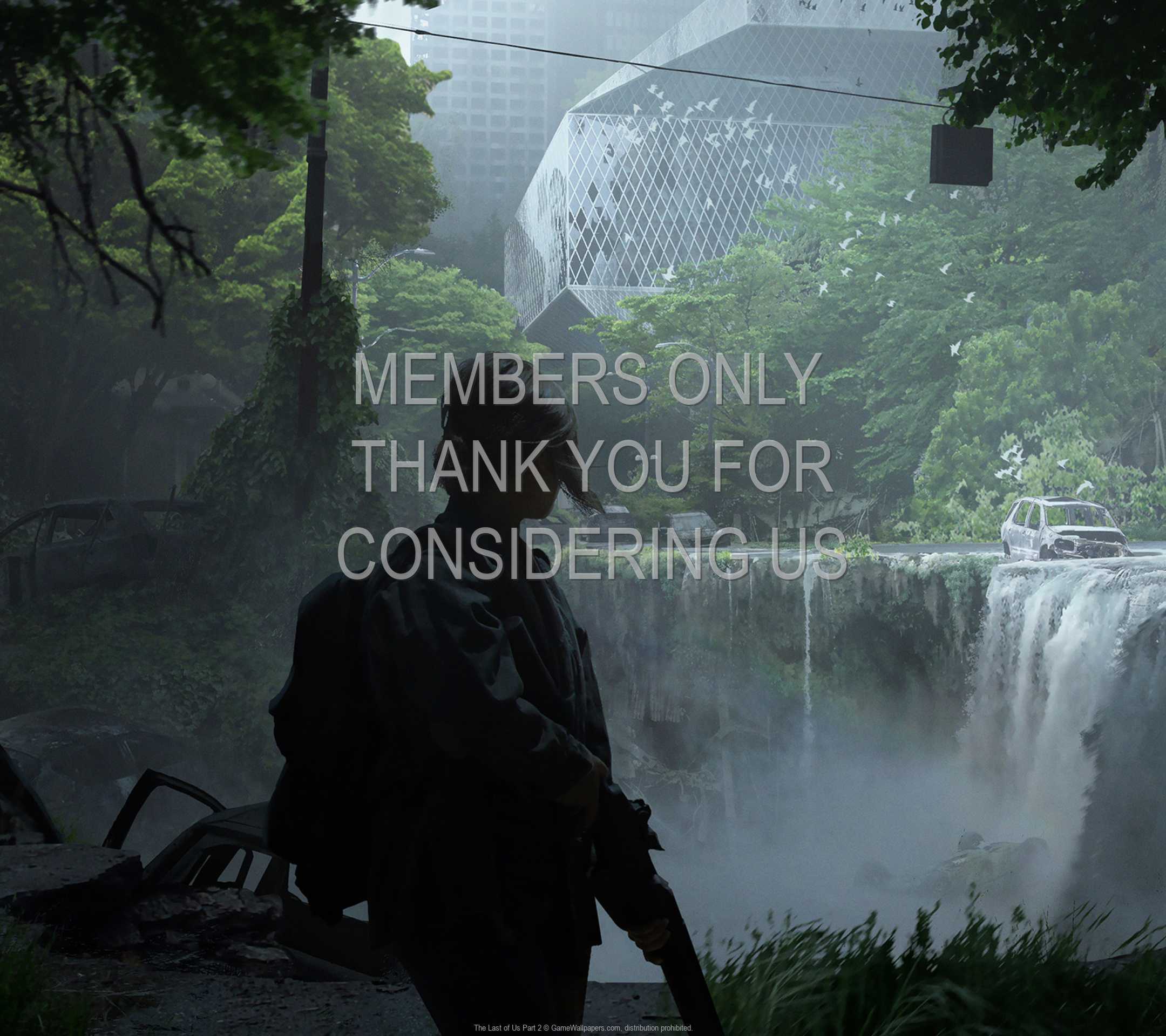 The Last of Us: Part 2 1080p Horizontal Handy Hintergrundbild 07