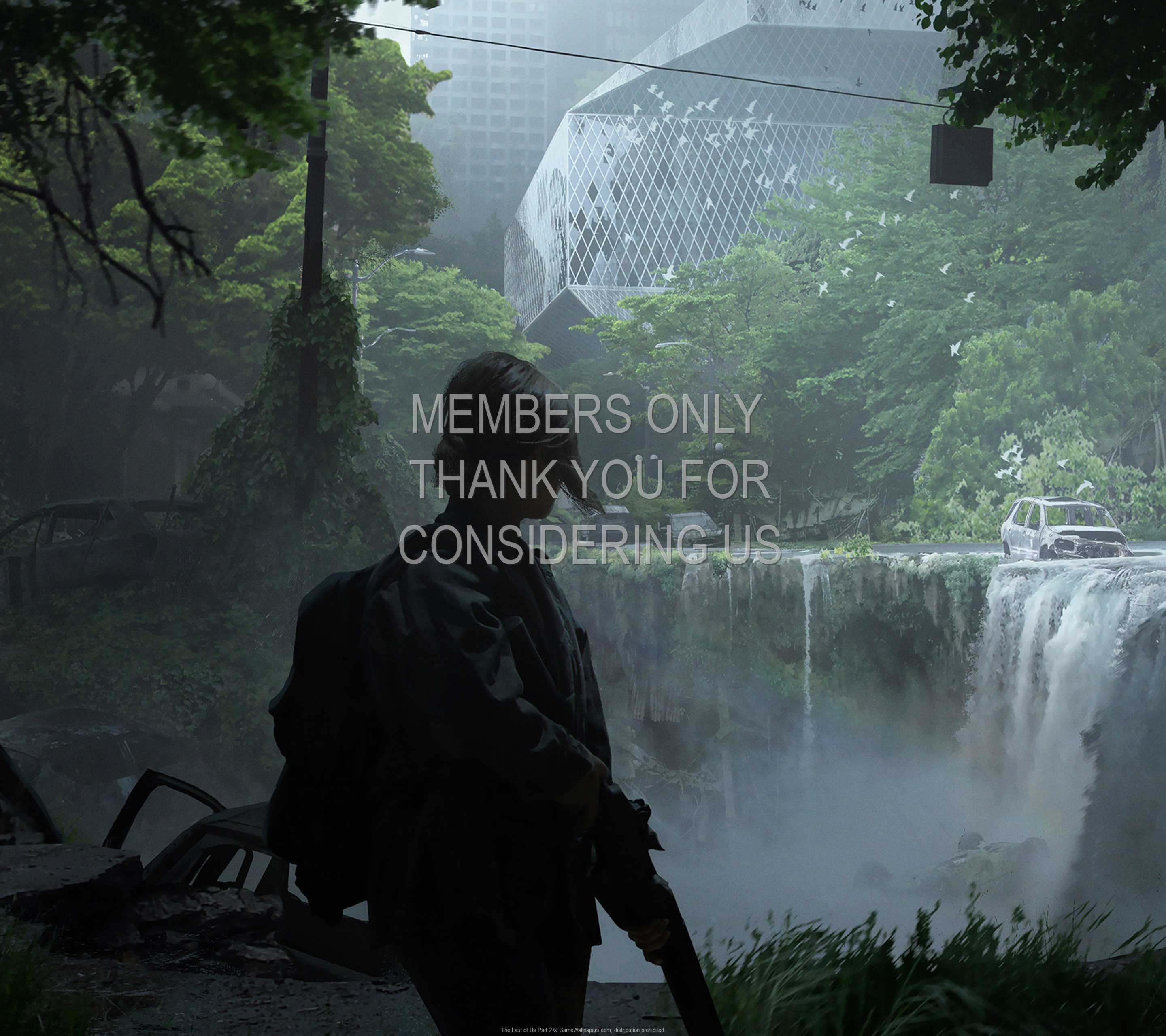 The Last of Us: Part 2 1440p Horizontal Handy Hintergrundbild 07