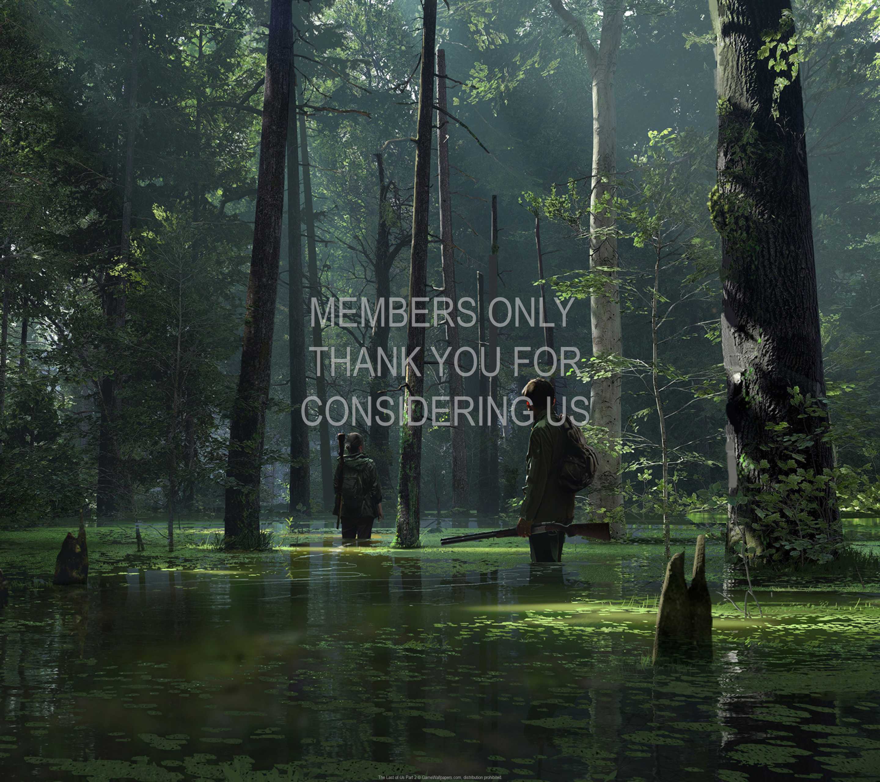 The Last of Us: Part 2 1440p Horizontal Handy Hintergrundbild 08