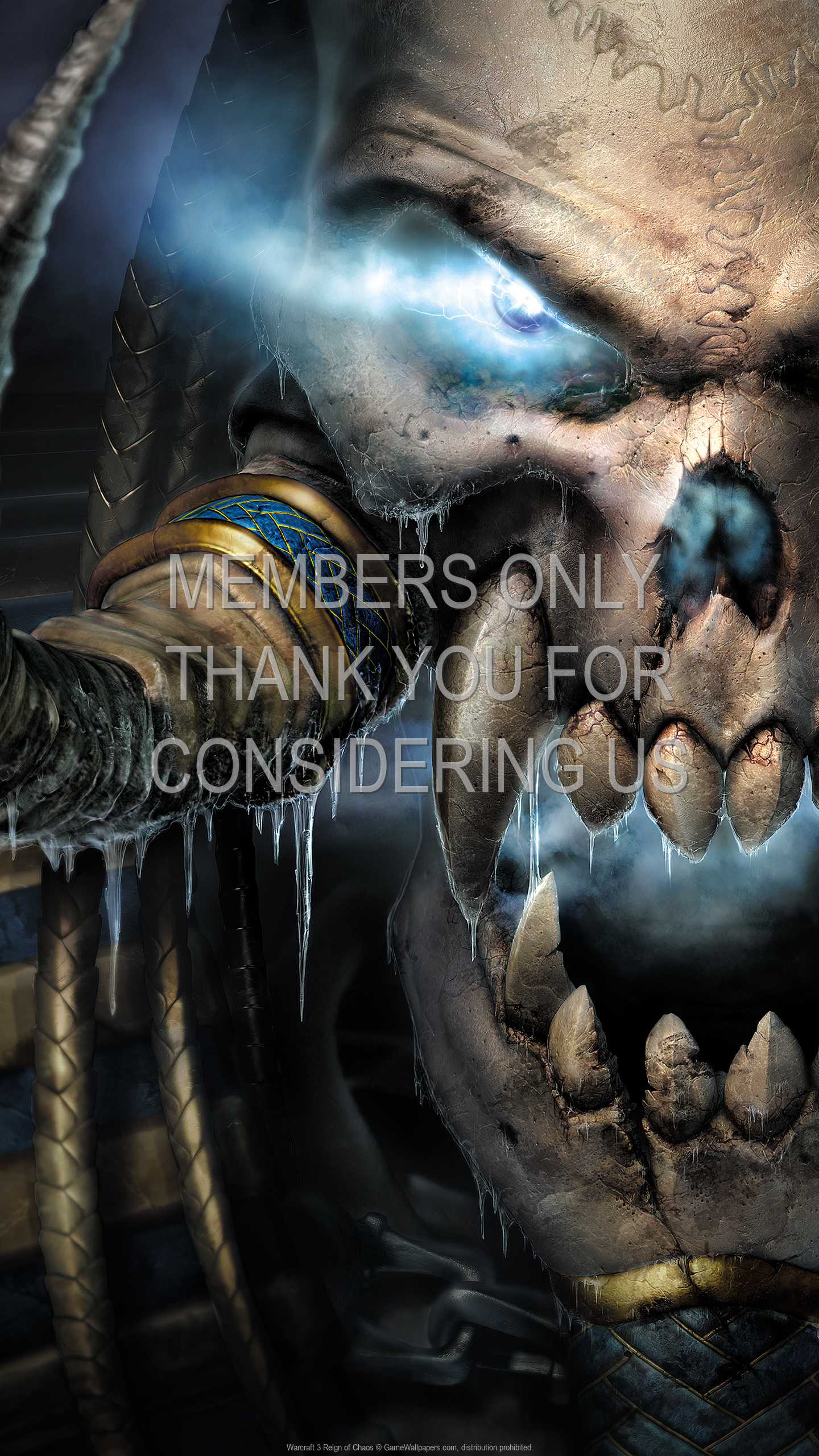 Warcraft 3: Reign of Chaos 1440p Vertical Handy Hintergrundbild 26