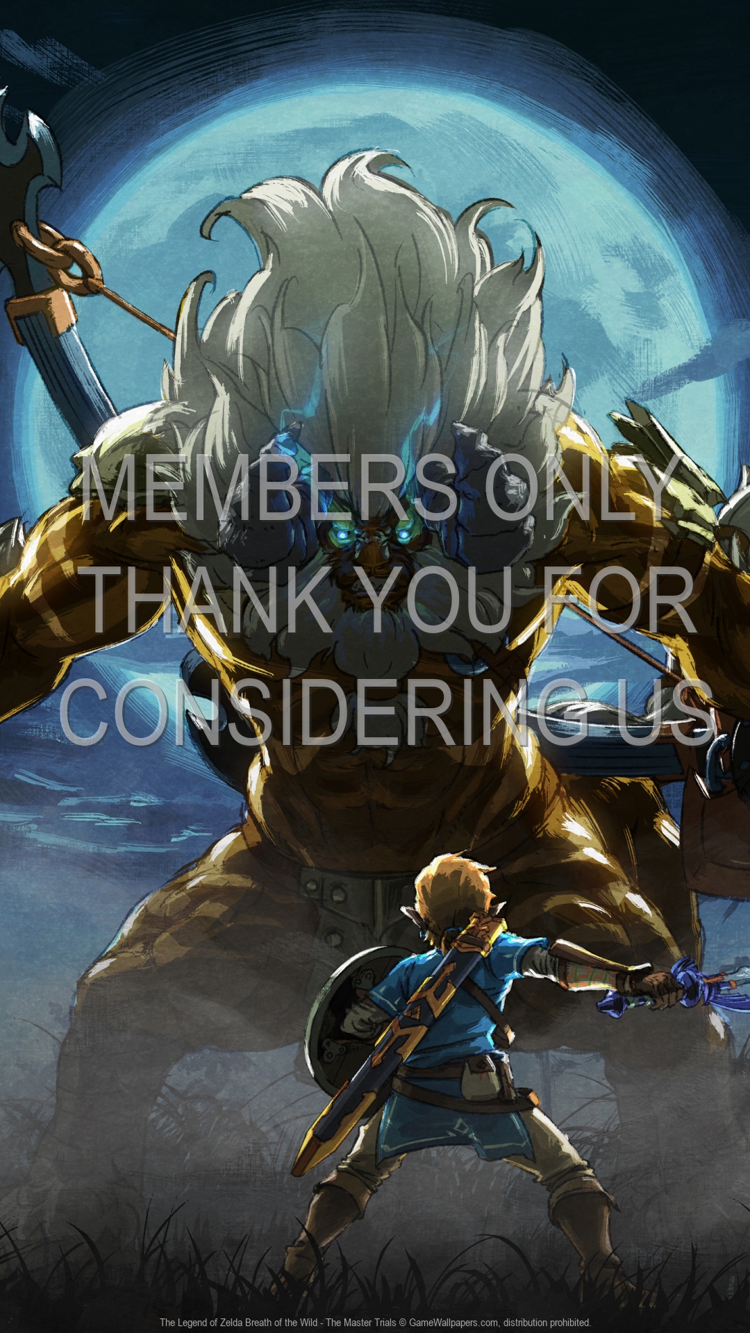 The Legend Of Zelda Breath Of The Wild The Master Trials The Legend Of Zelda Breath Of The Wild The Master Trials