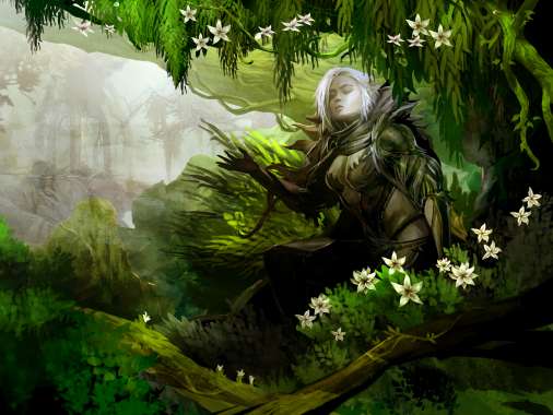 Guild Wars 2 Mobile Horizontal wallpaper or background