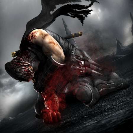 Ninja Gaiden 3 Mobile Horizontal wallpaper or background