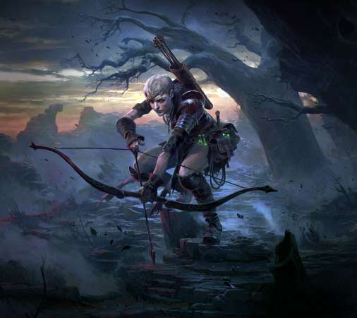 Path of Exile 2 Mobile Horizontal wallpaper or background