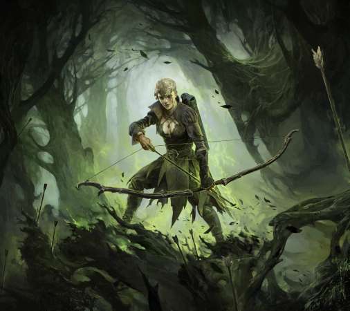 Path of Exile 2 Mobile Horizontal wallpaper or background