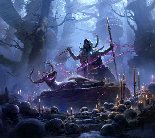 Path of Exile 2 Mobile Horizontal wallpaper or background