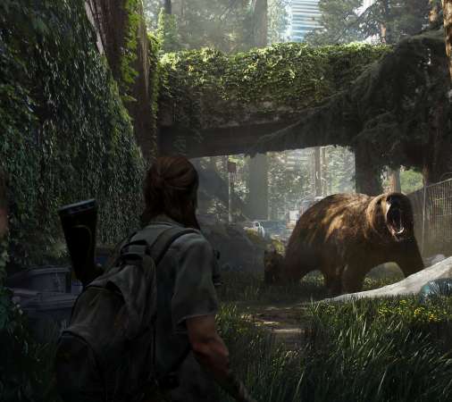 Featured image of post Wallpaper Celular The Last Of Us Flickr is almost certainly the best online photo management and sharing application in the world