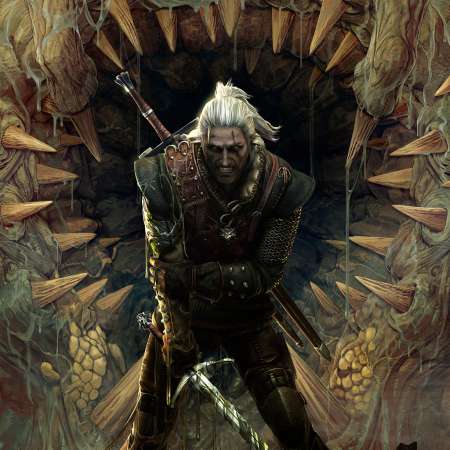 The Witcher 2: Assassins of Kings Mobile Horizontal wallpaper or background