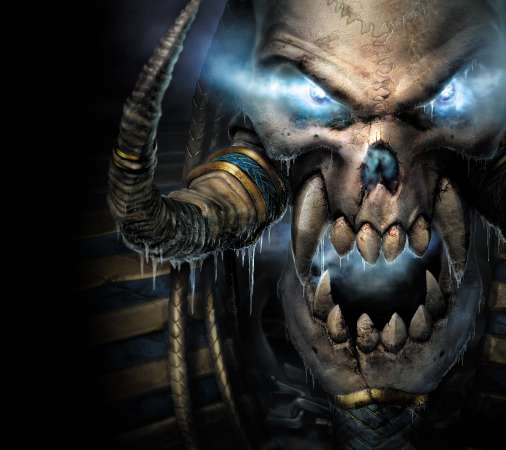 Warcraft 3: Reign of Chaos Mobile Horizontal wallpaper or background