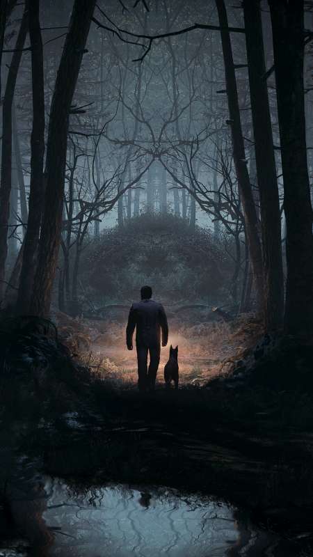 Gamewallpapers Com