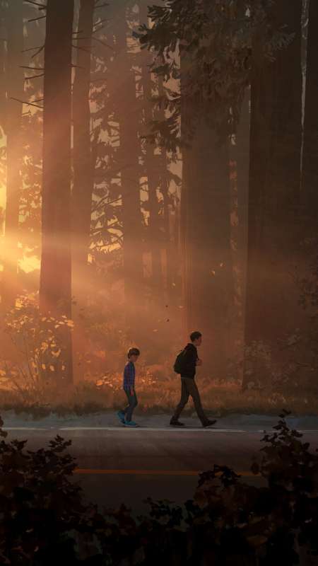 Life Is Strange 2 Wallpapers Or Desktop Backgrounds