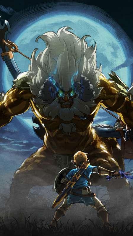 The Legend Of Zelda Breath Of The Wild The Master Trials