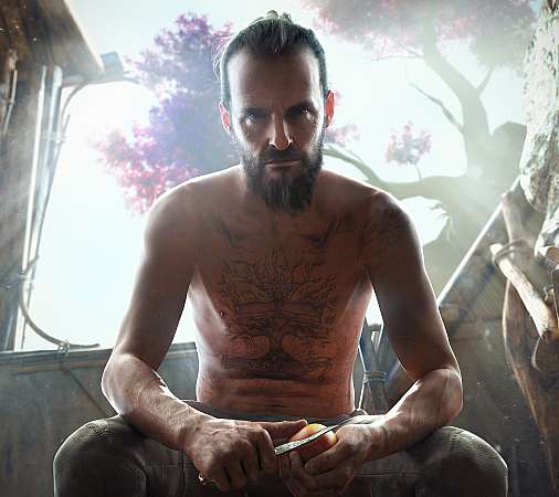 Far Cry New Dawn Mobile Horizontal wallpaper or background