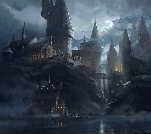 Hogwarts Legacy Mobile Horizontal wallpaper or background