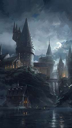 Hogwarts Legacy Mobile Vertical wallpaper or background